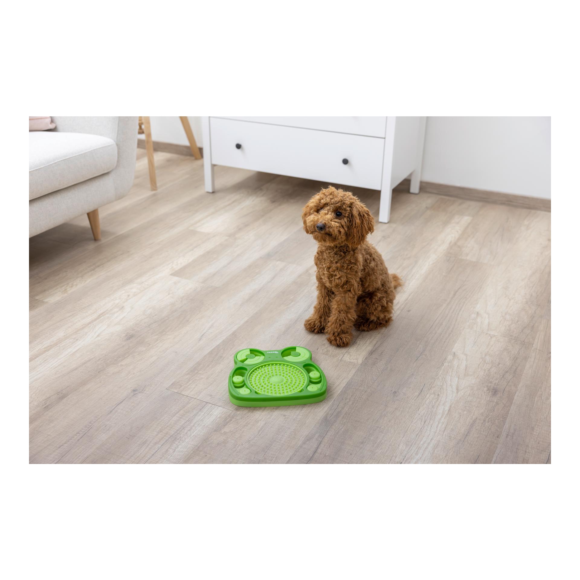 Kerbl Pet Denk- und Lernspielzeug Frosch