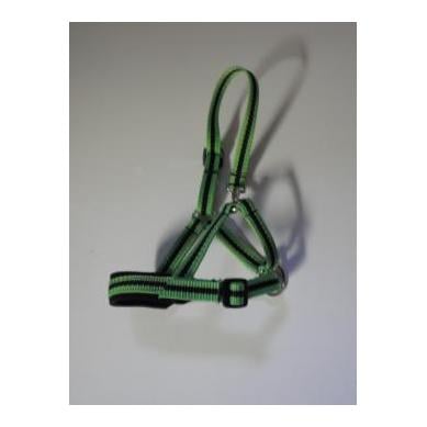 Alpaka Halfter zweifarbig