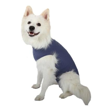 Image of Vetmedcare Body Dog Hündin Body Basic - blau bei Hauptner.ch