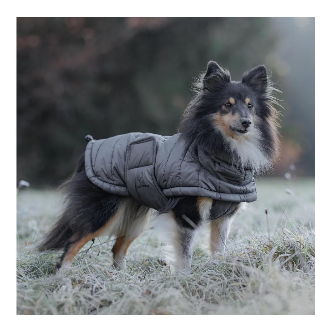 Wanderpfote Daunenjacke für Hunde