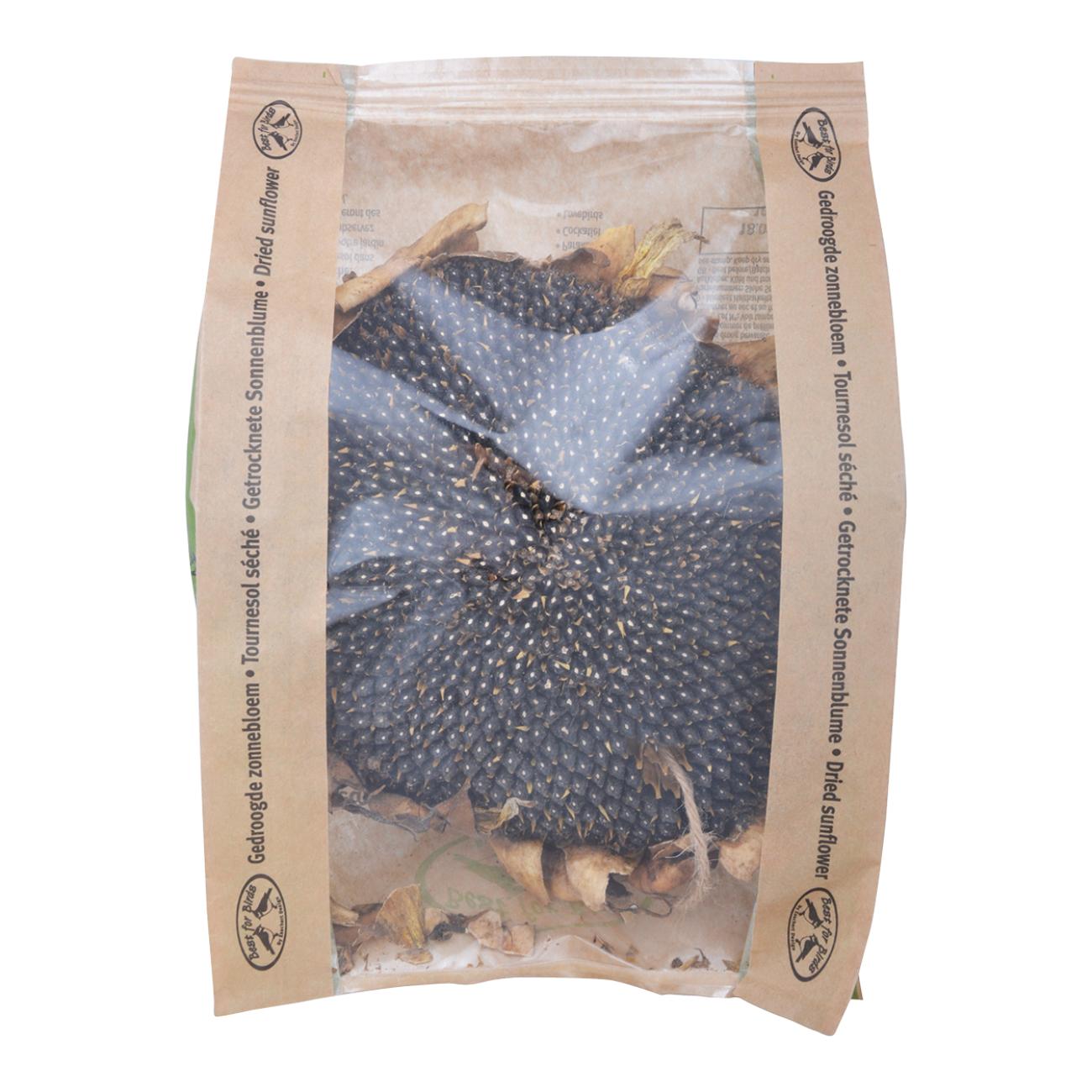 Getrocknete Sonnenblume