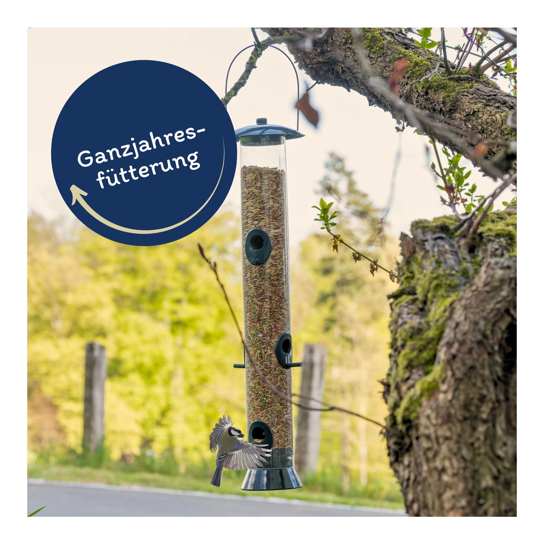 Lyra Pet Streufutter