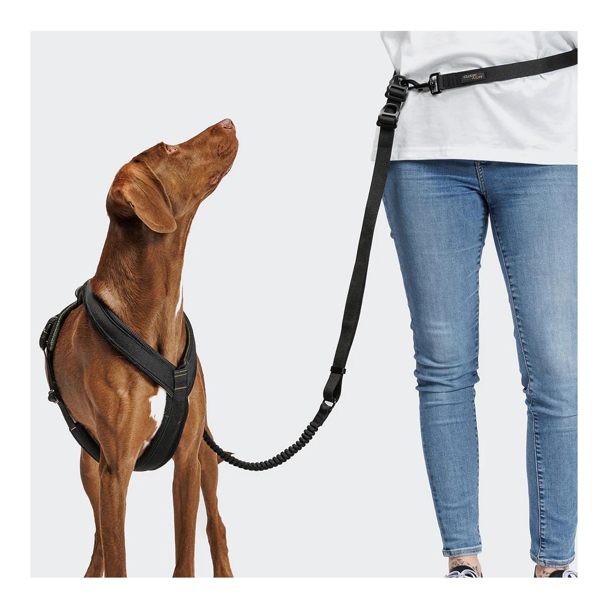 L-2-Jogging-Hundeleine