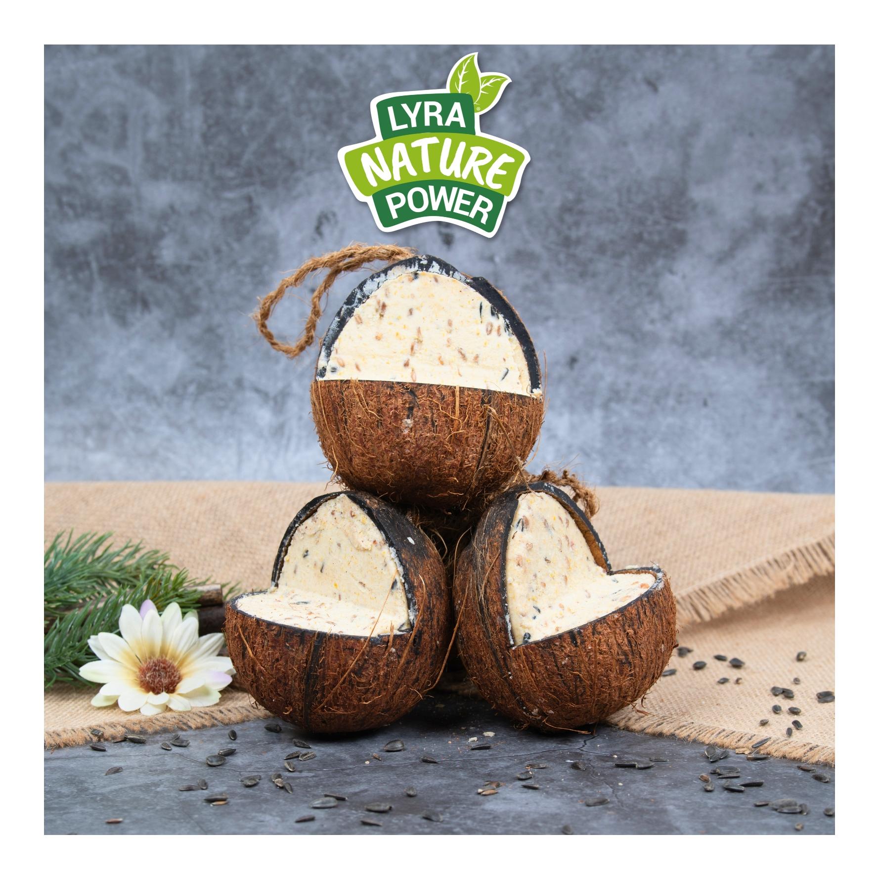 Ganze Kokosnuss V-Cut gefüllt