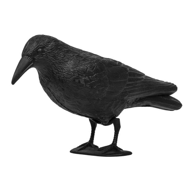 Vogelabwehr - Rabe sitzend