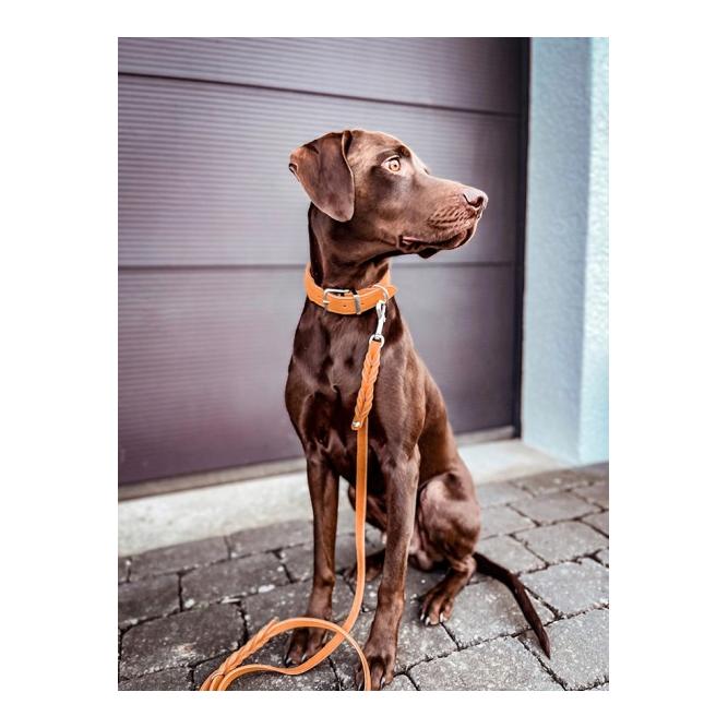 Laisse en cuir Mono Pop