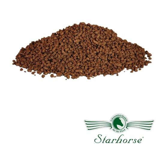 Image of Starhorse Golden Lein Matrix bei Hauptner.ch