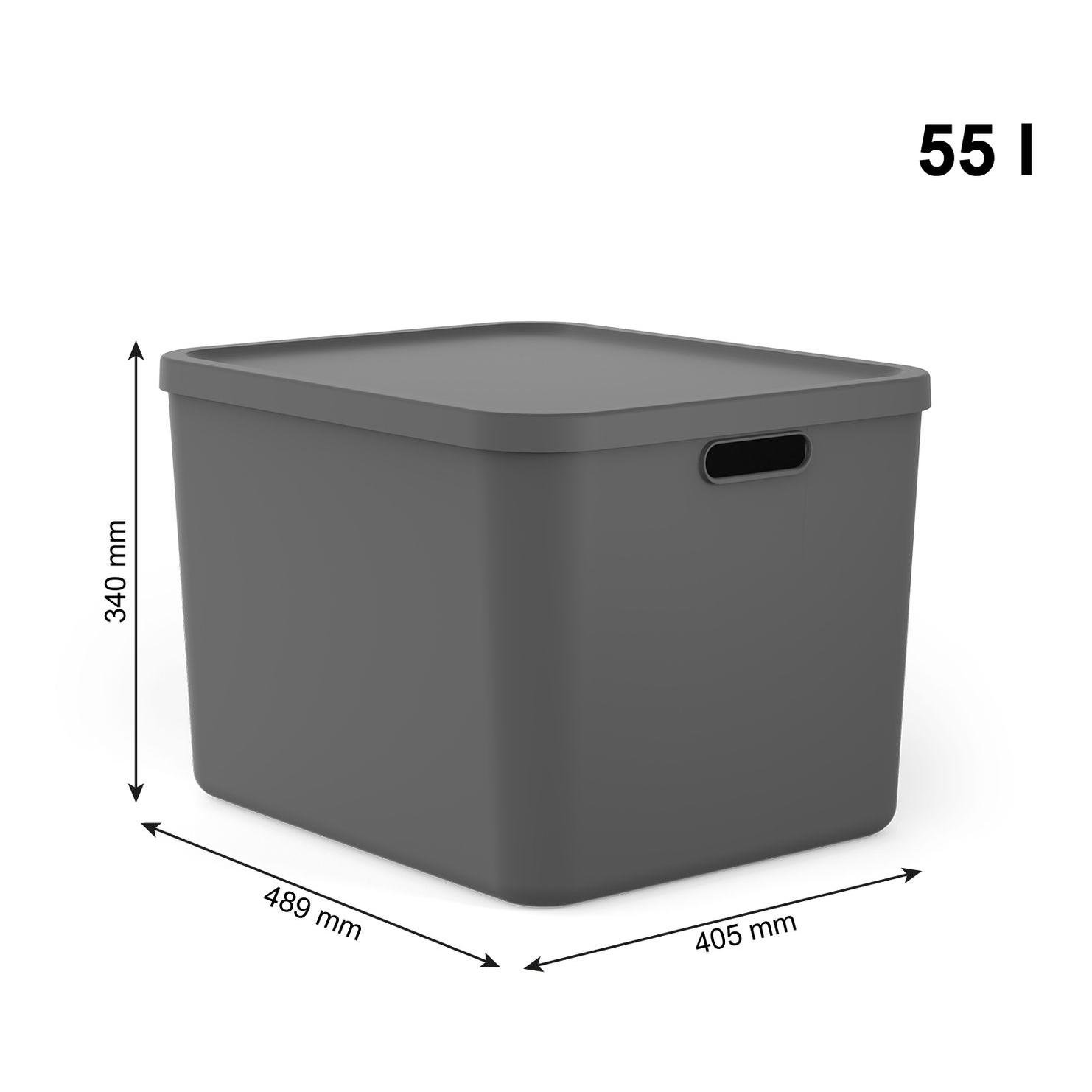 Rotho Multibox ALBULA