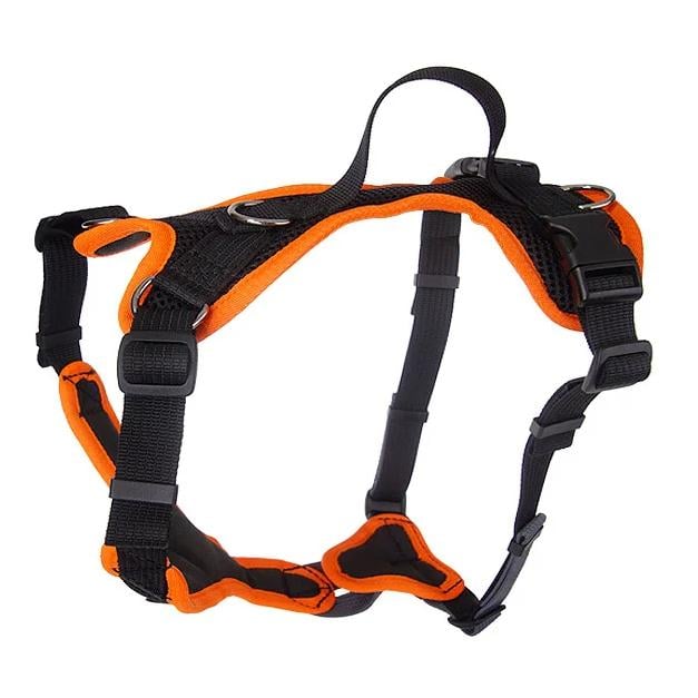 Image of Beat Grossenbacher Welpengeschirr Puppy - Schwarz/Orange - bei Hauptner.ch