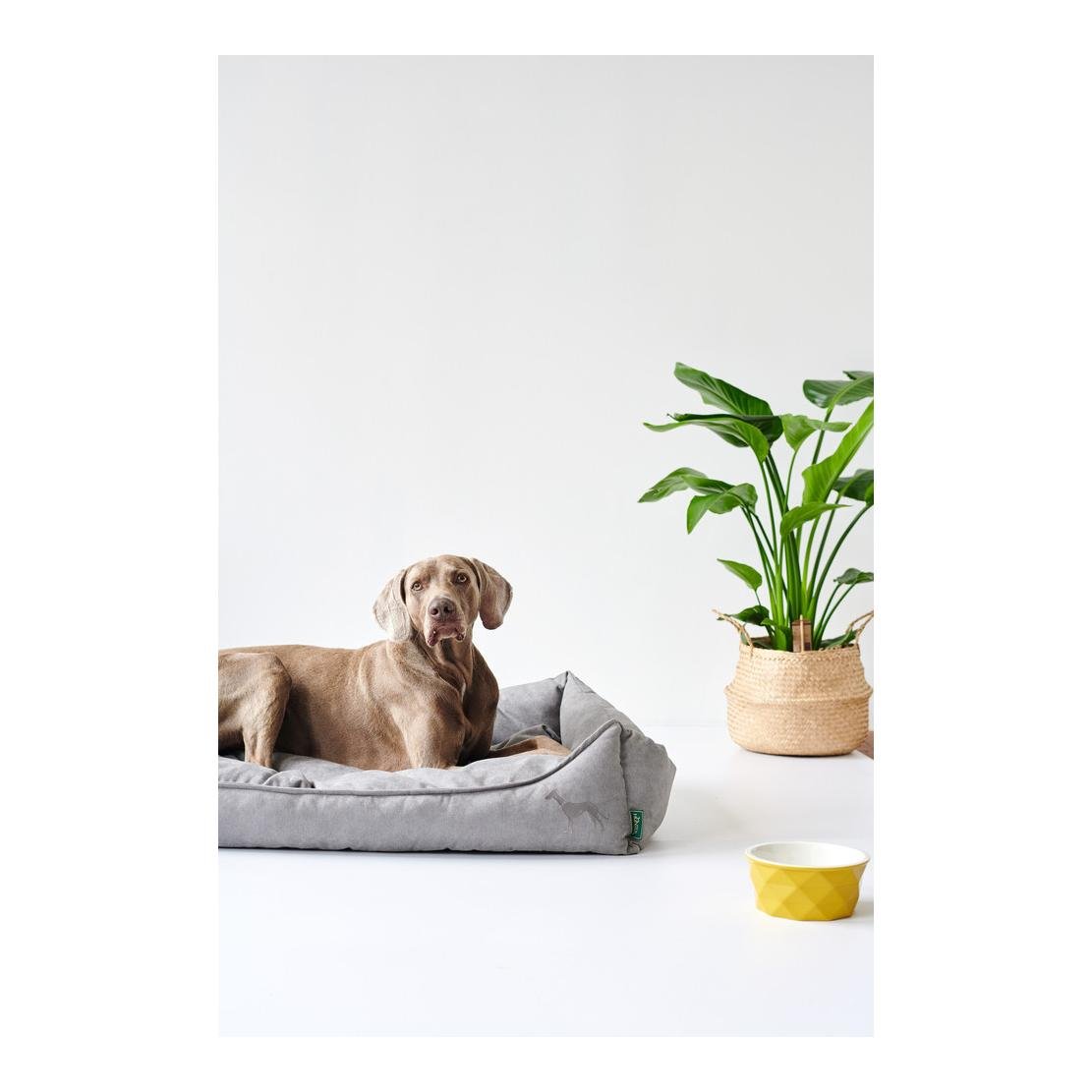 Canapé pour chien Eiby - gris Canapé pour chien Eiby - gris