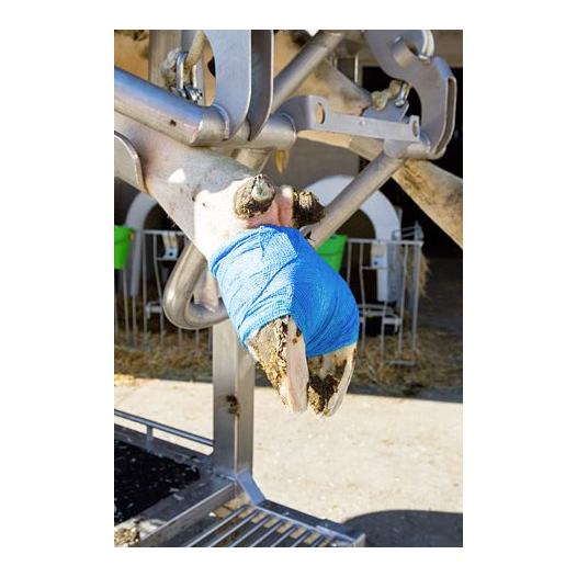 Klauenbandage VETlastic - blau