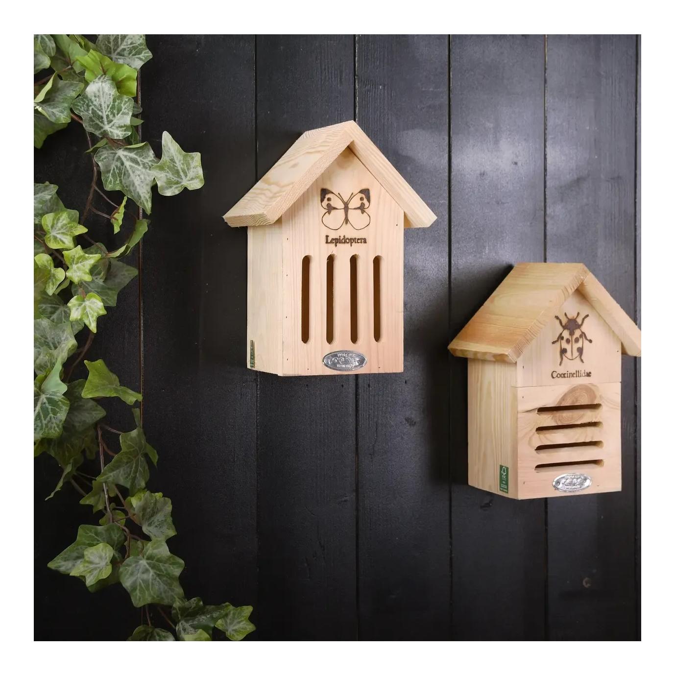 Schmetterlinghaus mit Silhouette