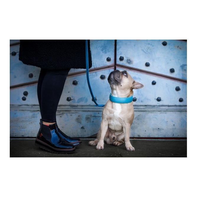 Laisse en cuir Mono Pop