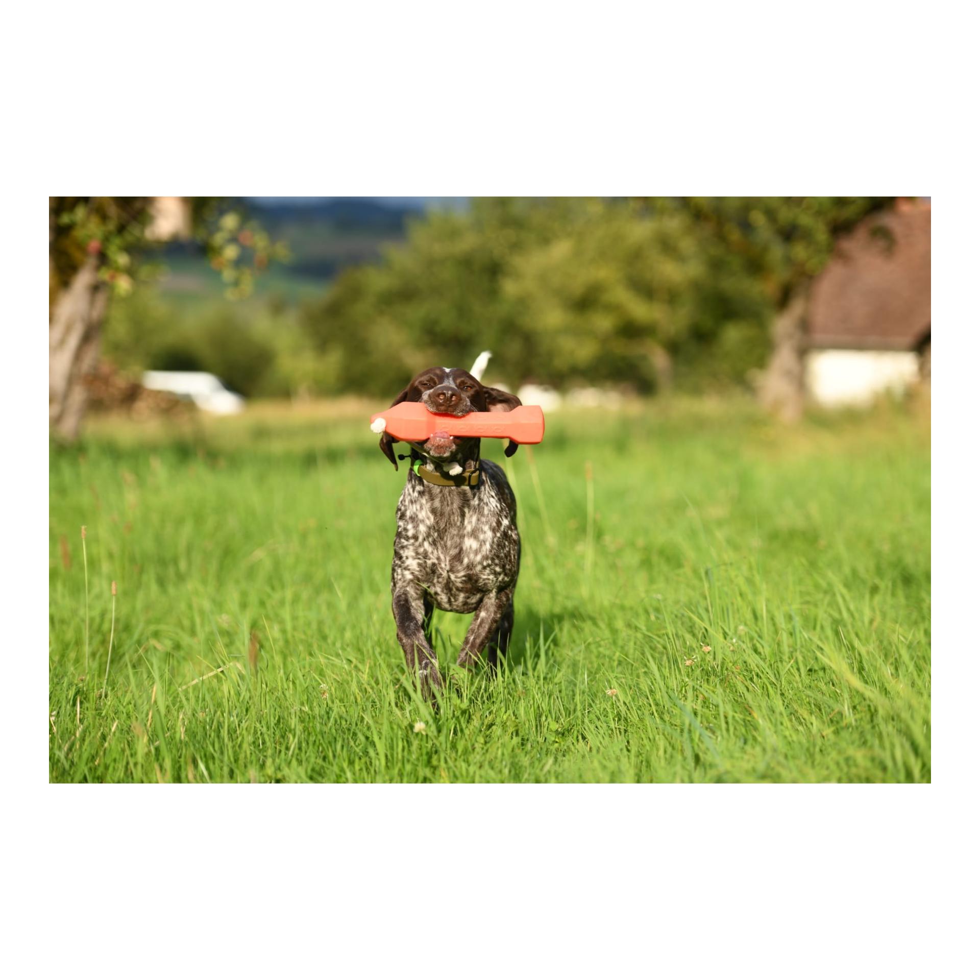 Apportierdummy Balance Bumper 320g