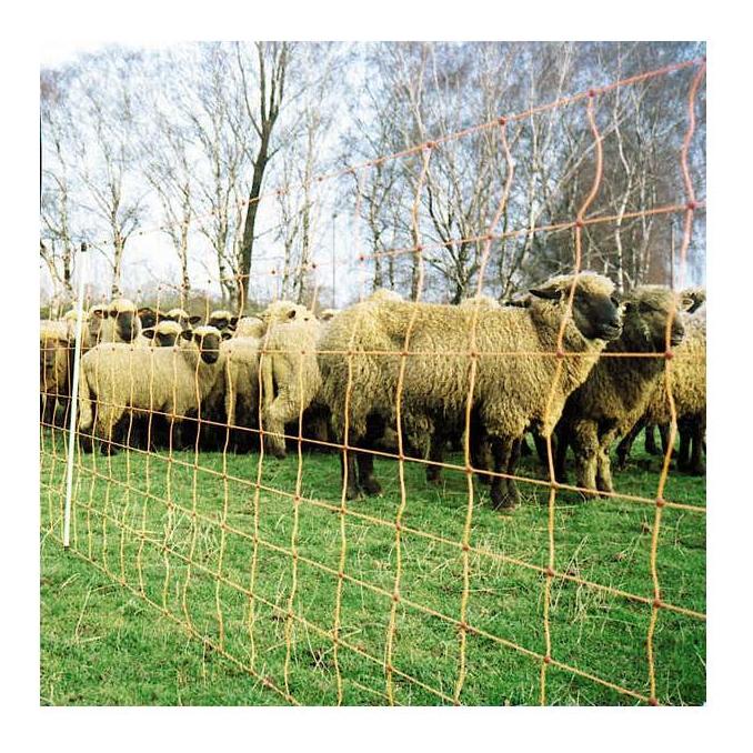 Weidenetz "FlexiNet" - Doppelspitz