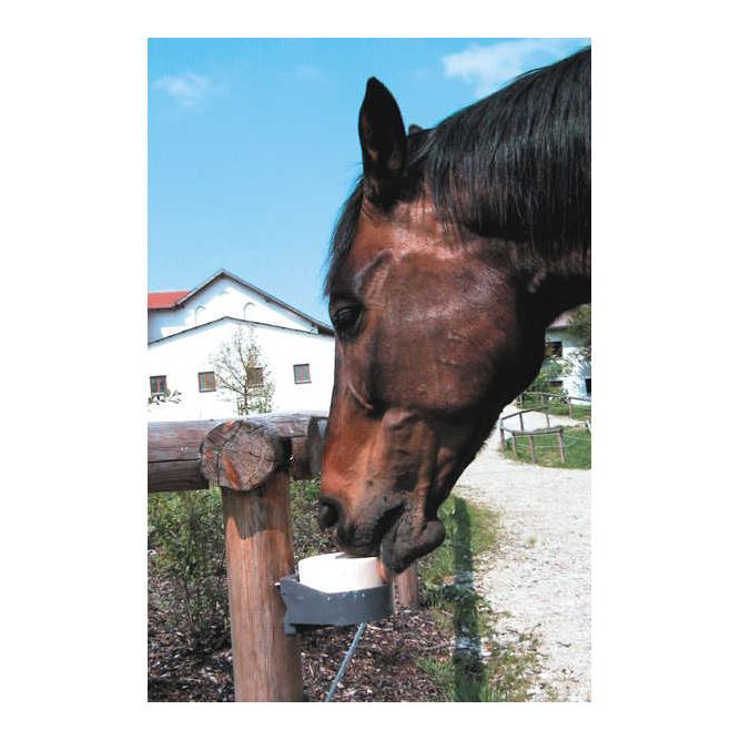 Equi-Bloc – Leckstein