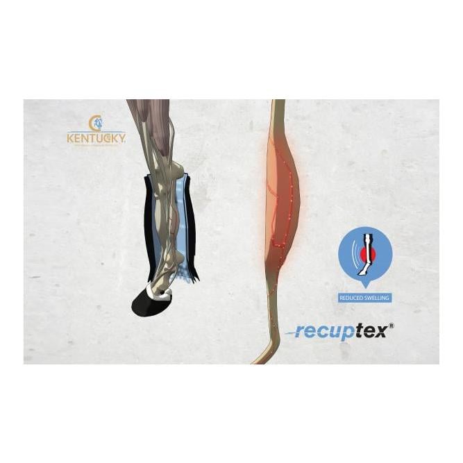 Stallgamaschen Magnet Recuptex,  Paar