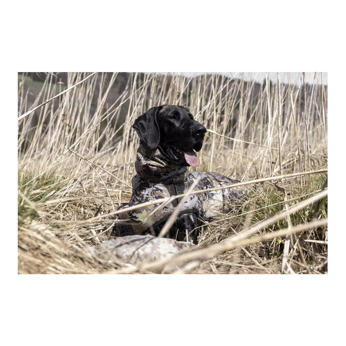 Hundeset HunTec Camo