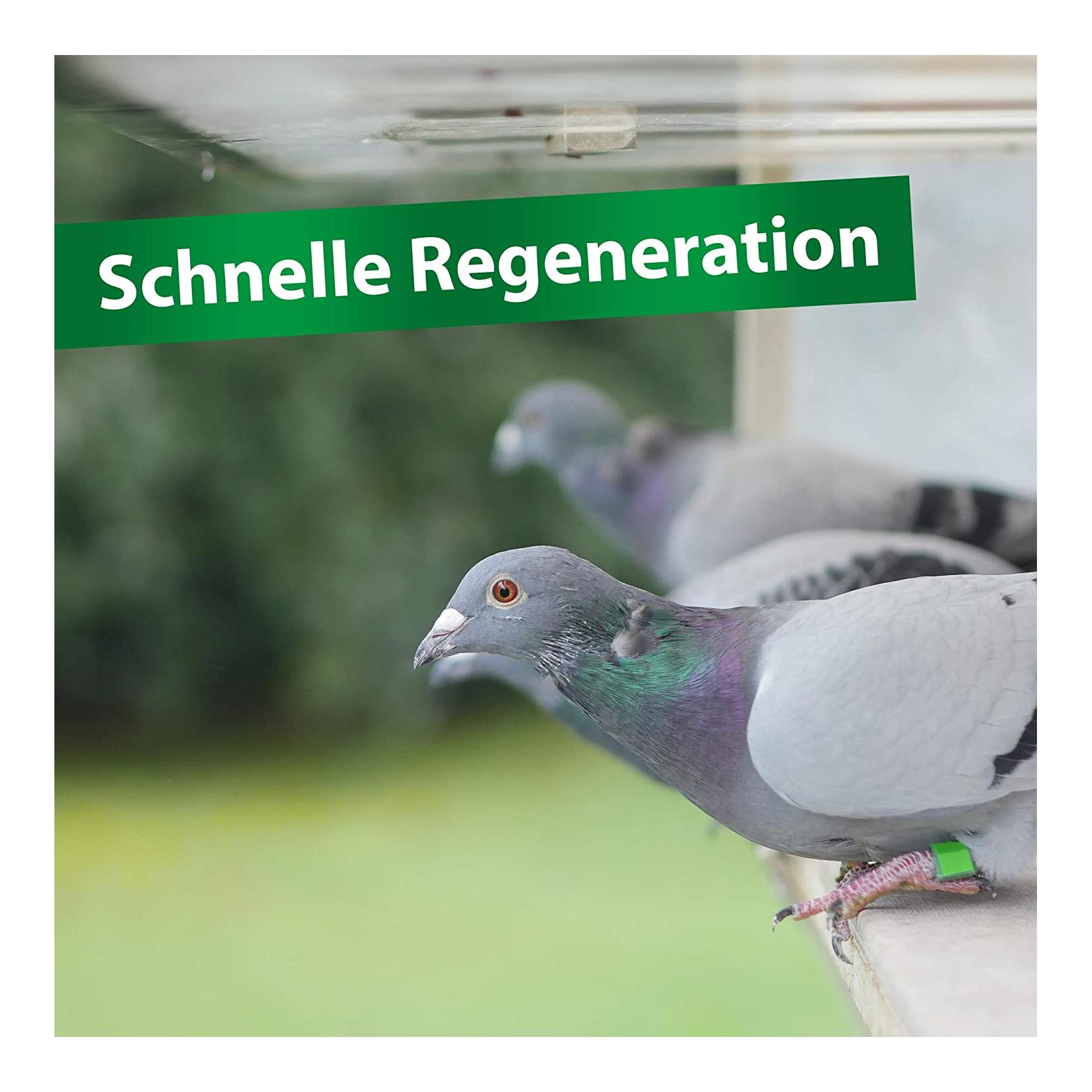 Bt-Amin Forte - höchstdosierte Aminosäuren und B-Vitamine