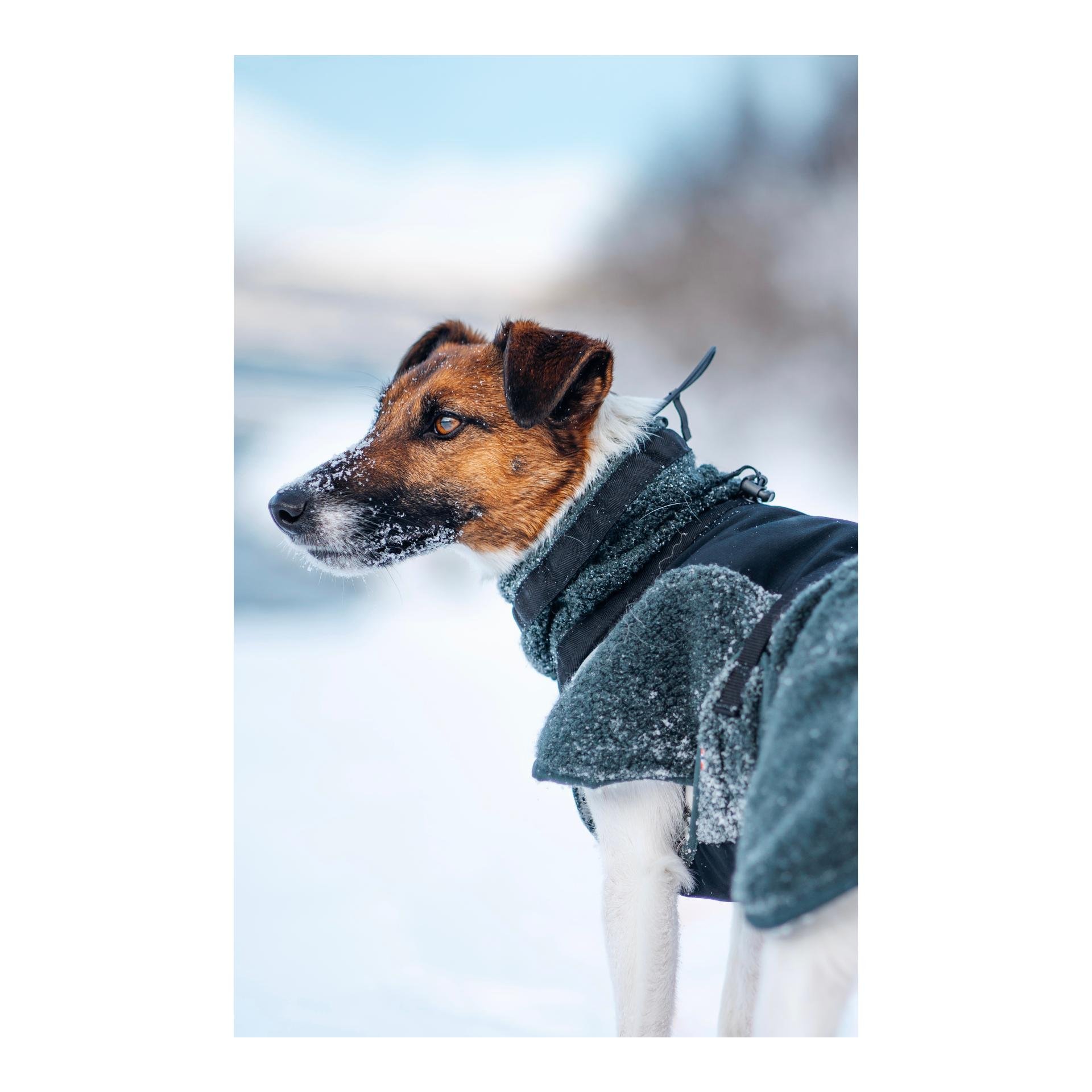 Hundemantel Wool Dog Jacket