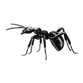 FORTISSIMO Ameisengiessmittel