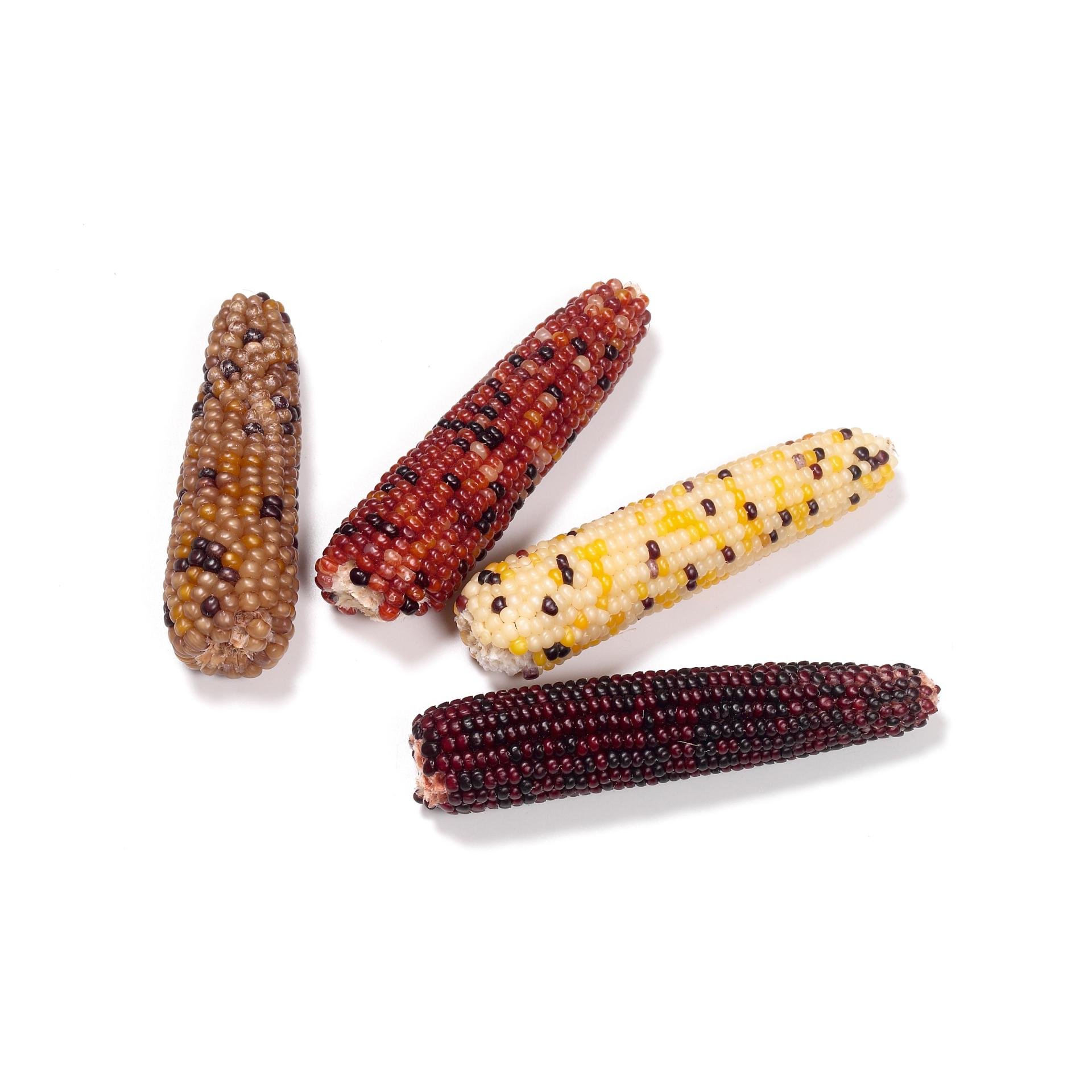 Mini-Popcorn für Nager