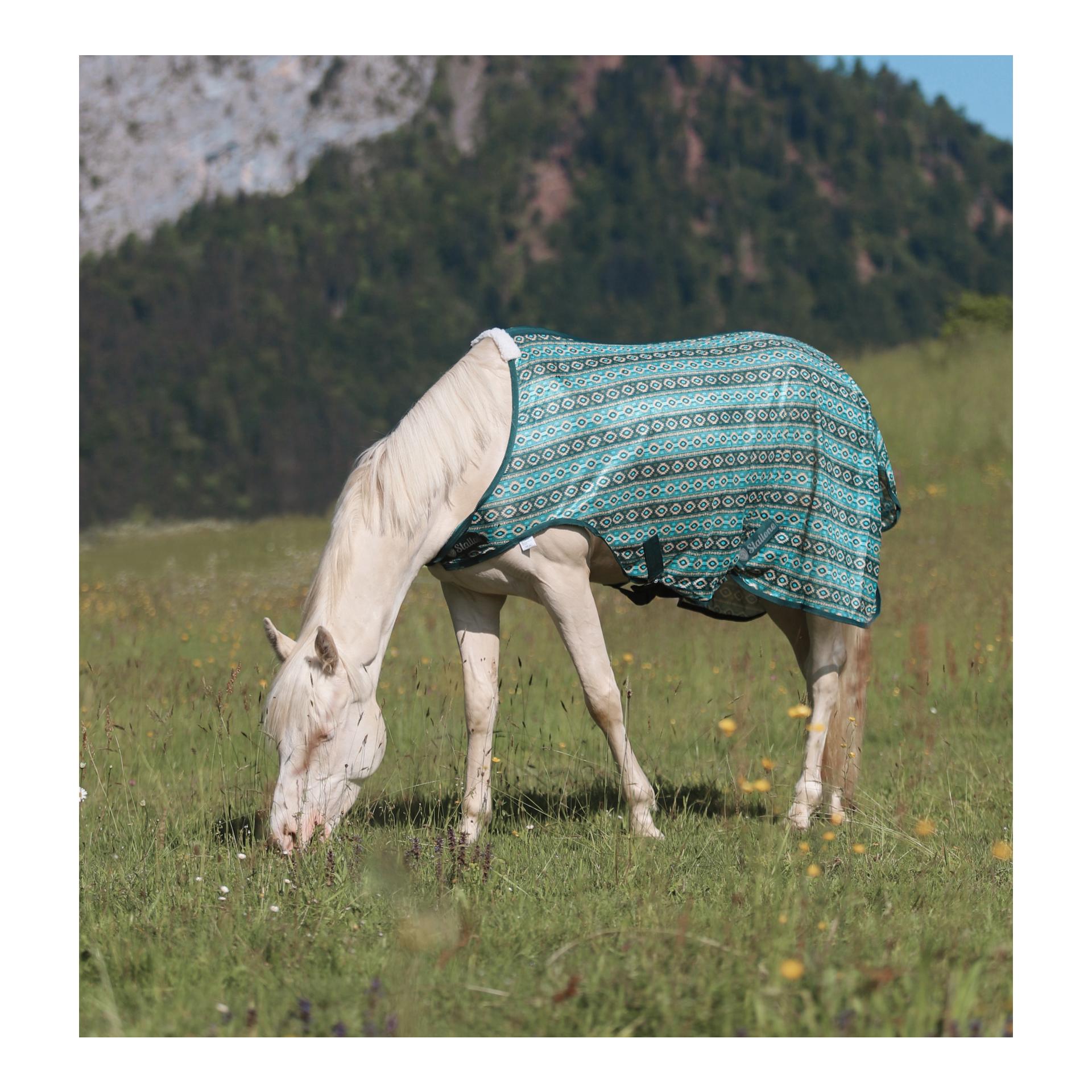 Stallone Walker-Fliegendecke