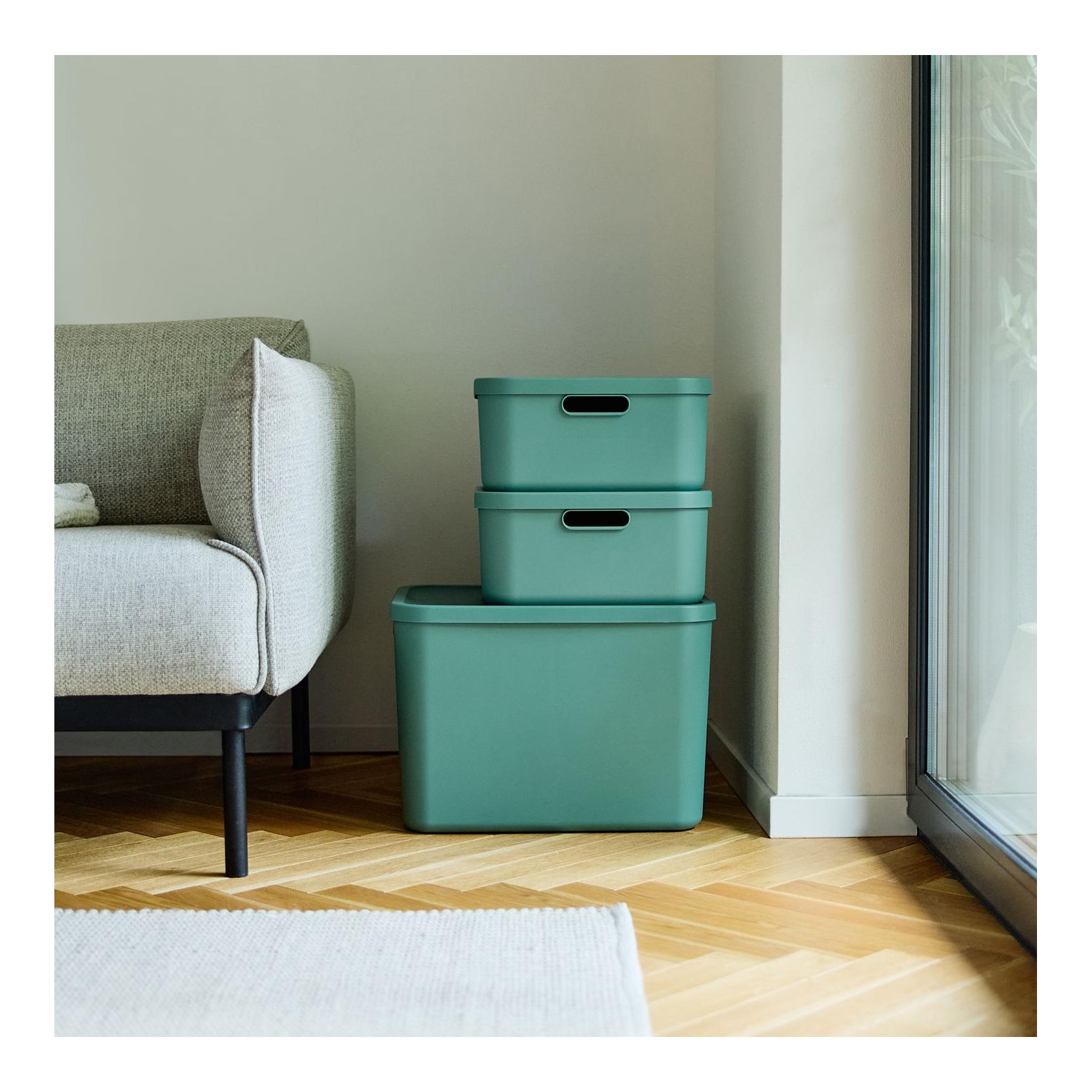 Rotho Multibox ALBULA