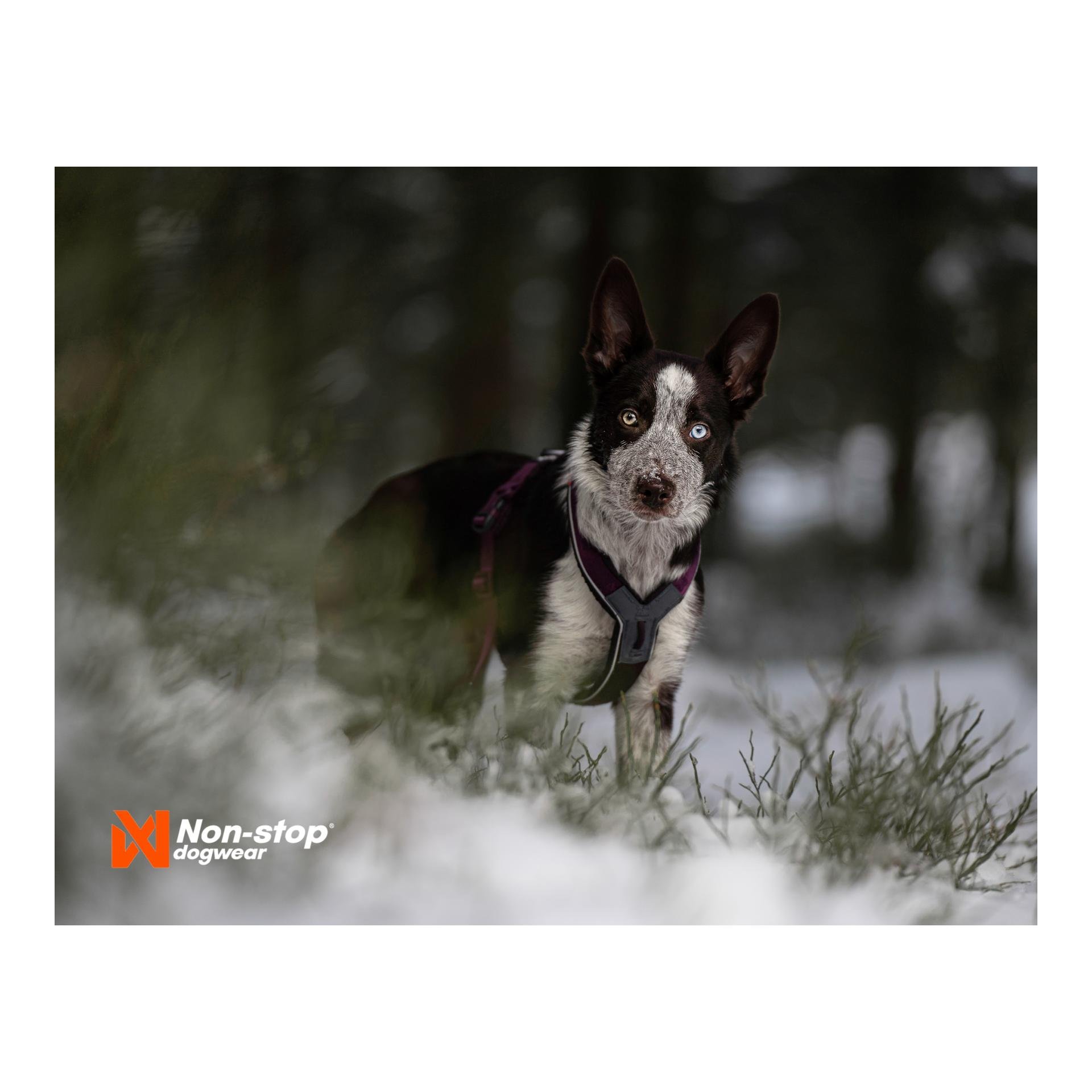 Line Harness 5.0 - blue