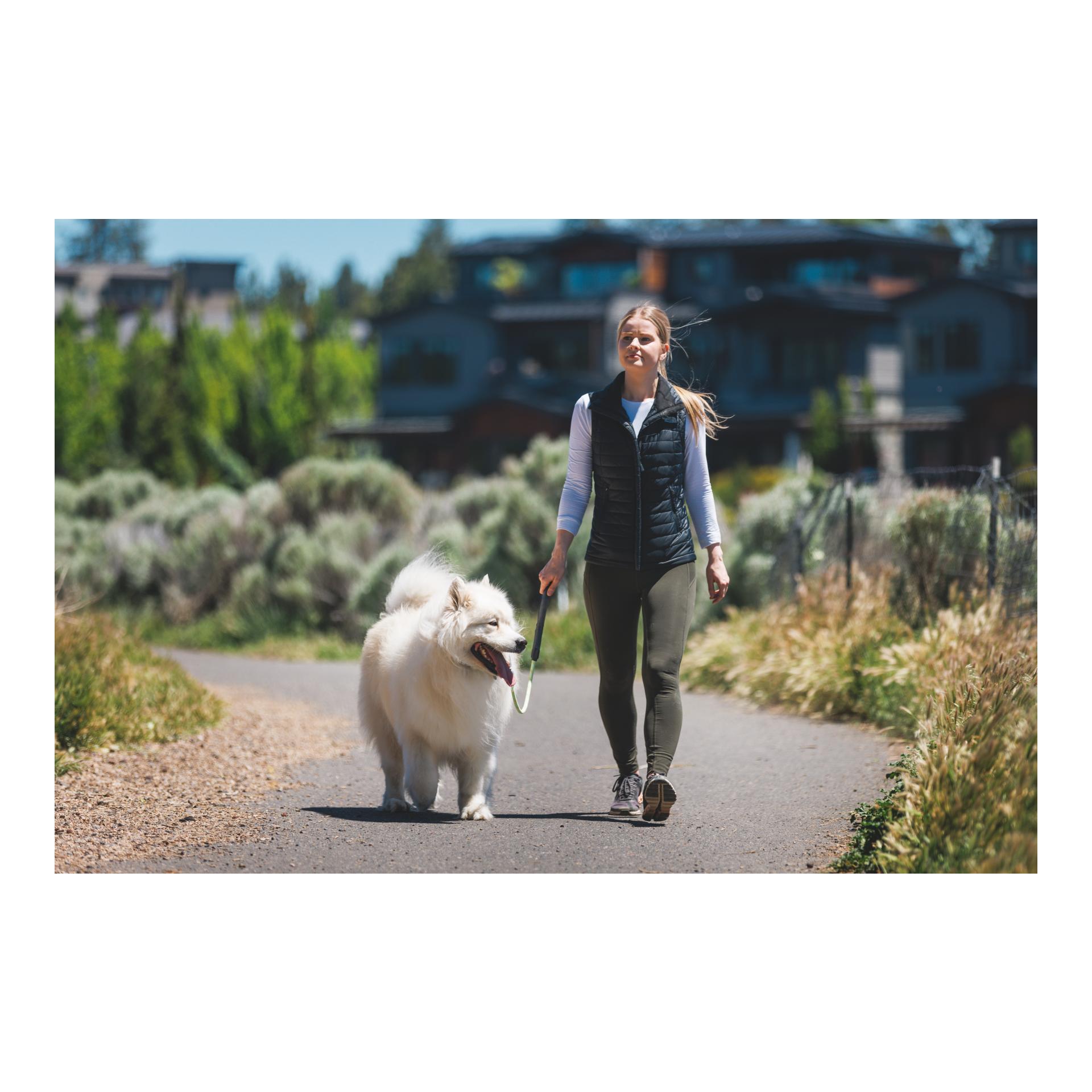 Knot-a-Long Leash Hundeleine