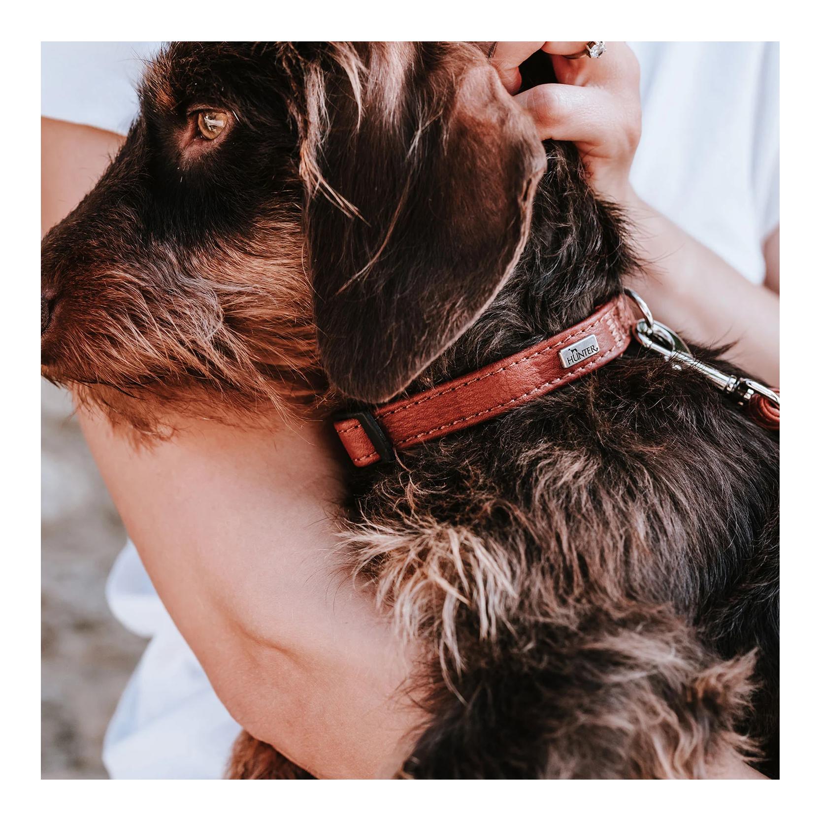 Halsband Click Canadian Up