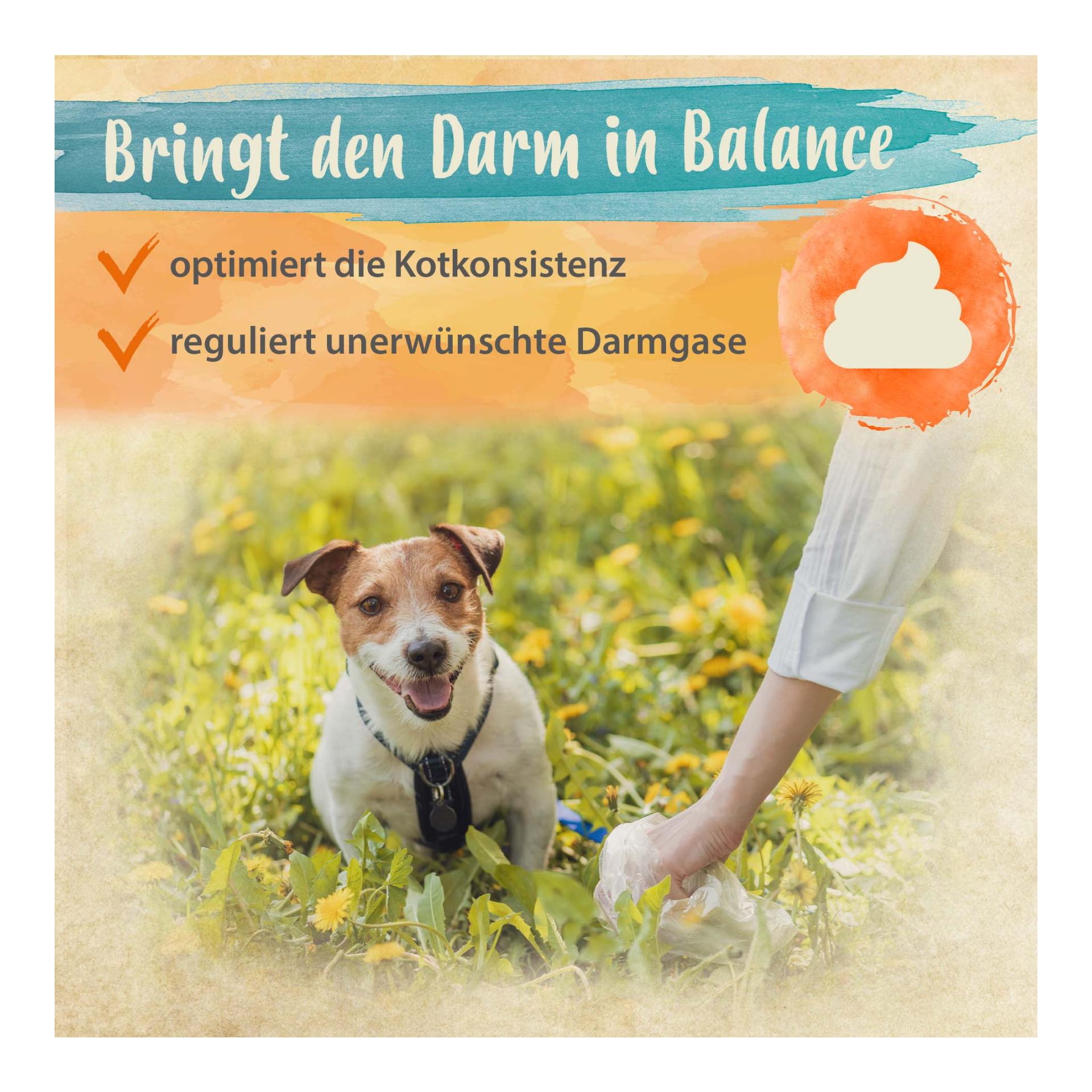 Darmbiotic - Probiotika zur Darmsanierung 