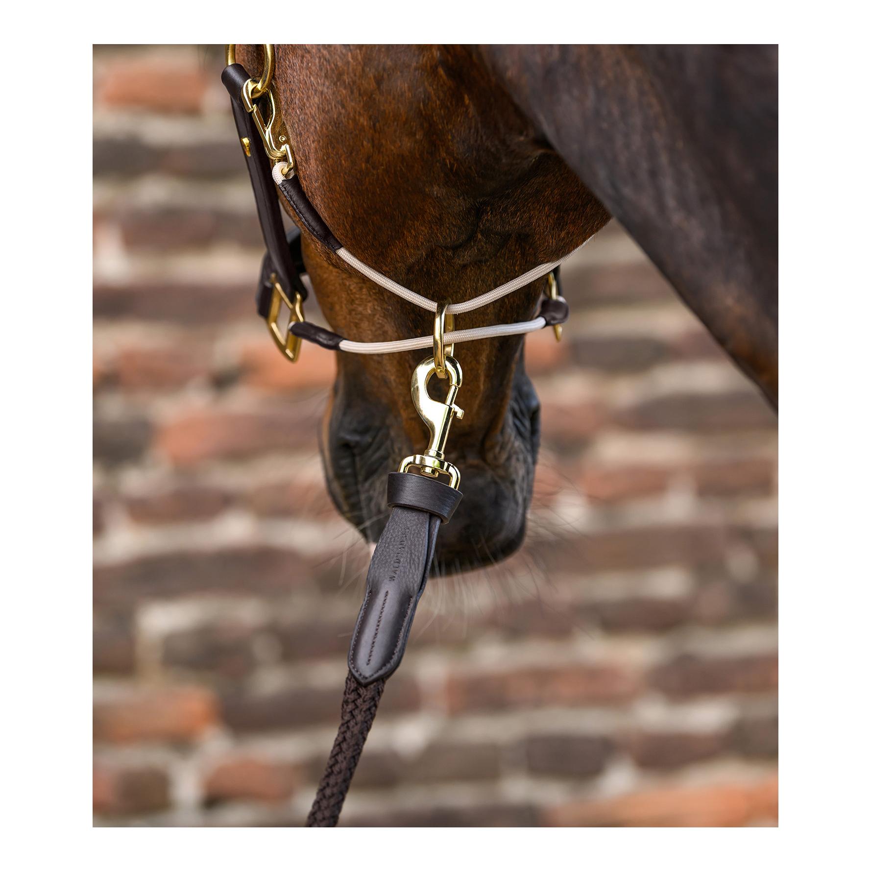 Lederhalfter S-Line Royal