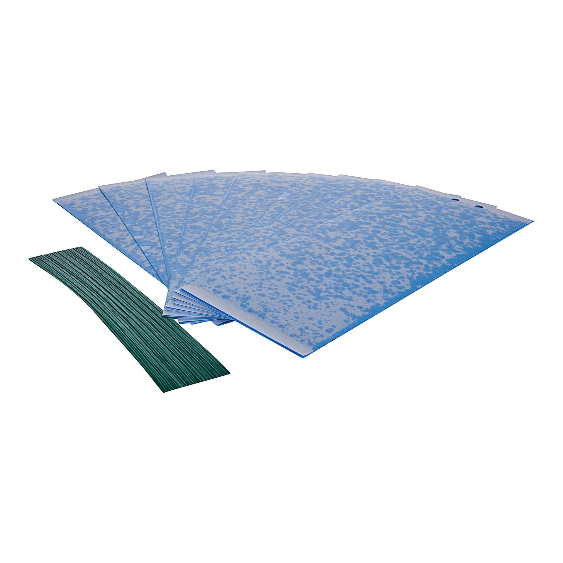 Klebetafeln für Thripse - Blaufallen