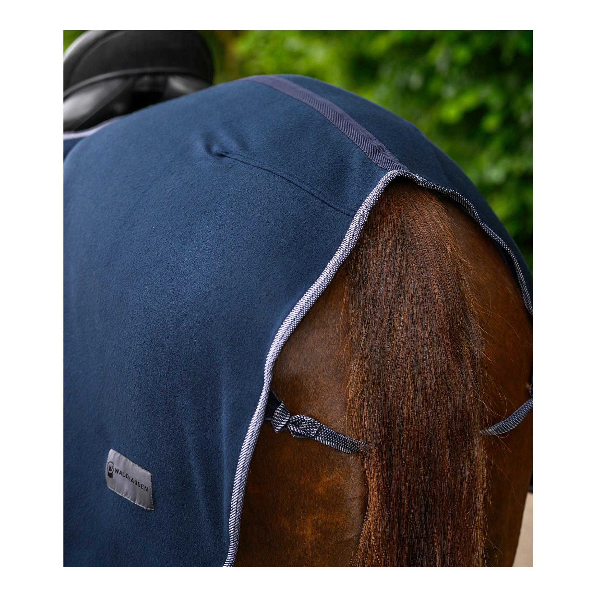Waldhausen Ausreitdecke ECONOMIC 
