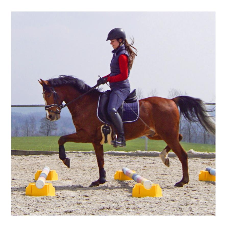 Supports en plastique pour barre Mini