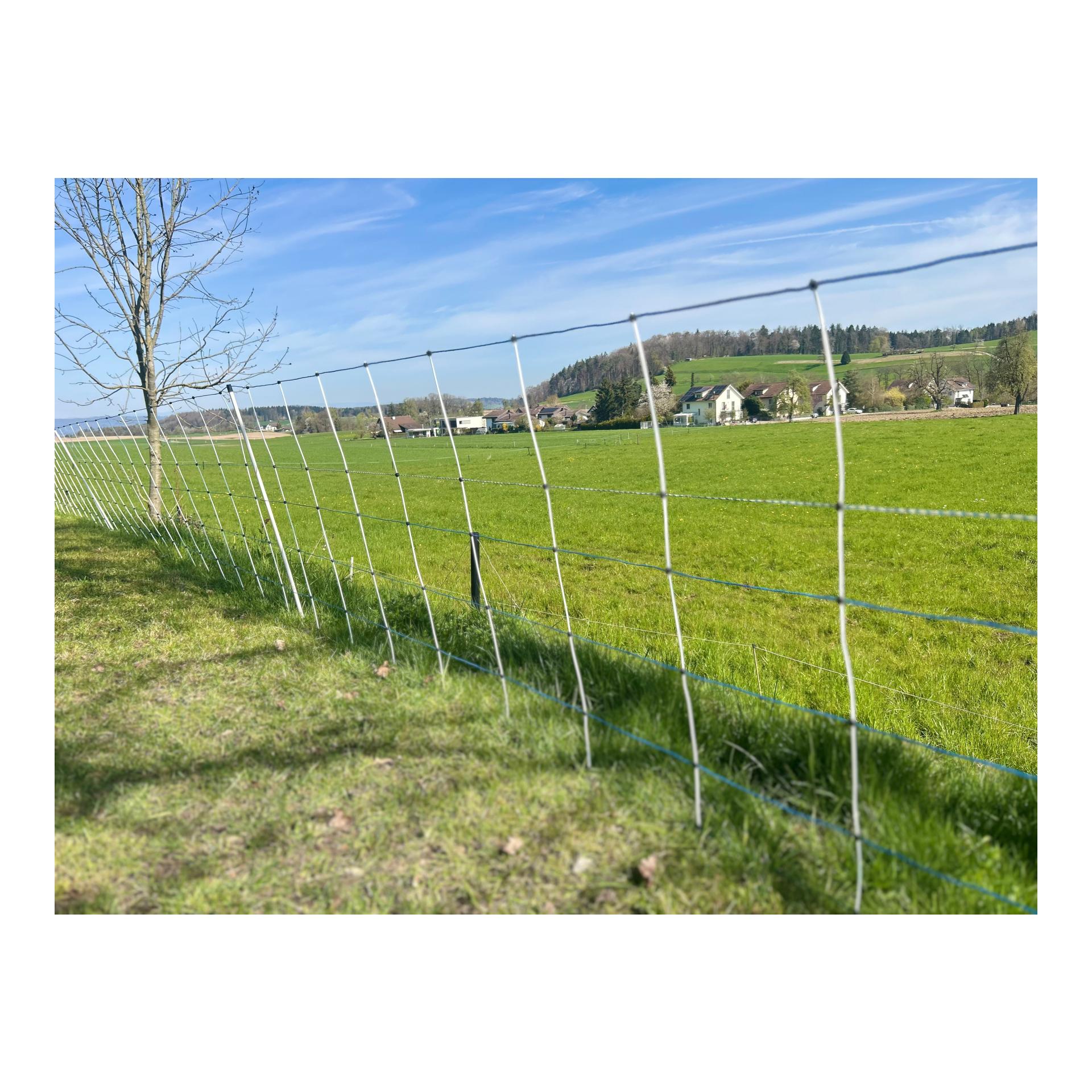 Hauptner Filet en osier "Primaflex Alpin" - pointe simple