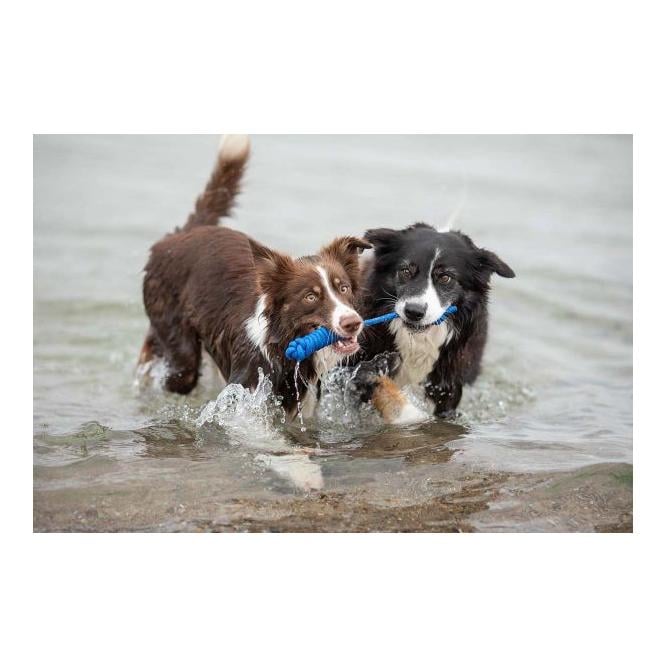 Tau-Spielzeug spiely, uni - blau