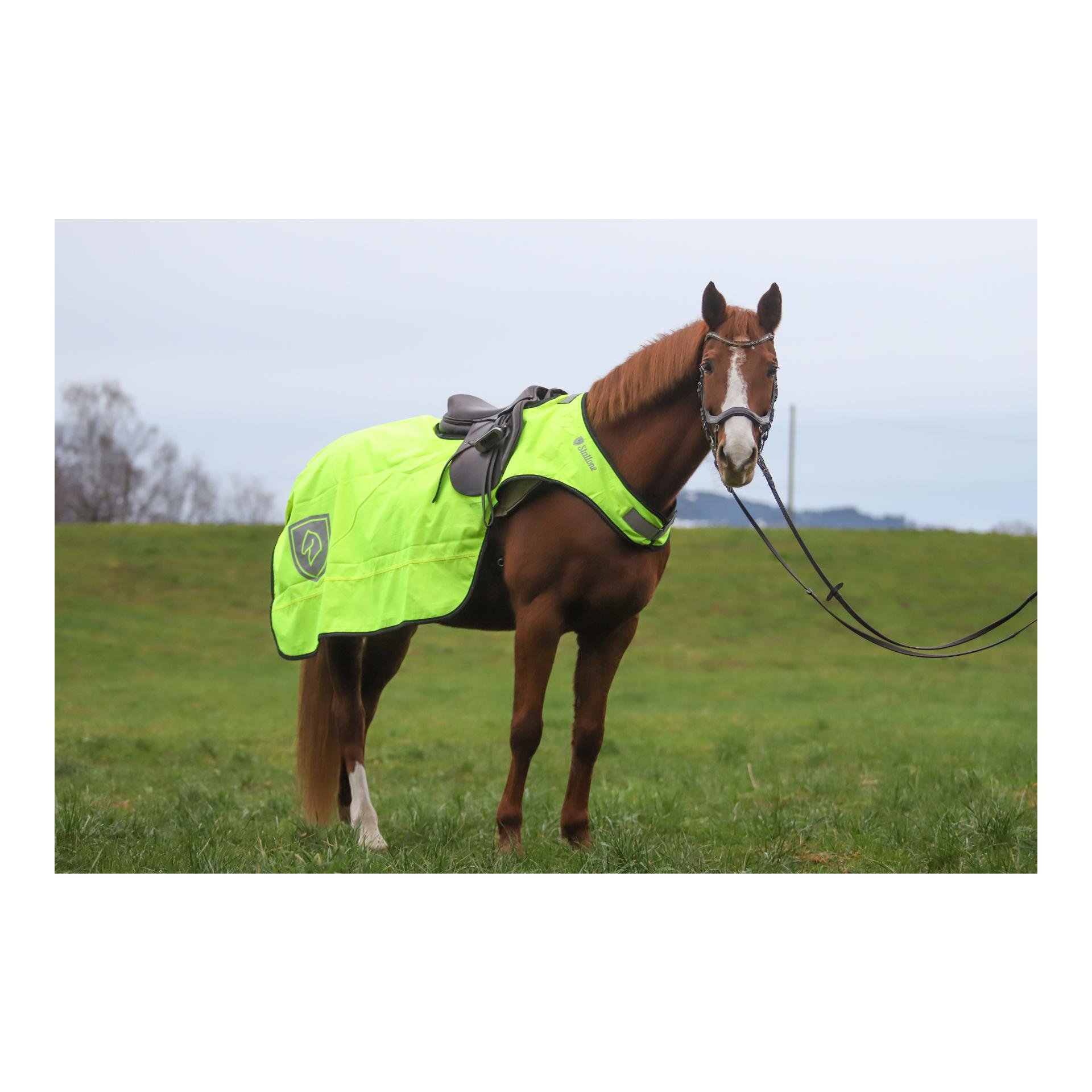 Ausreitdecke Deluxe 50 g