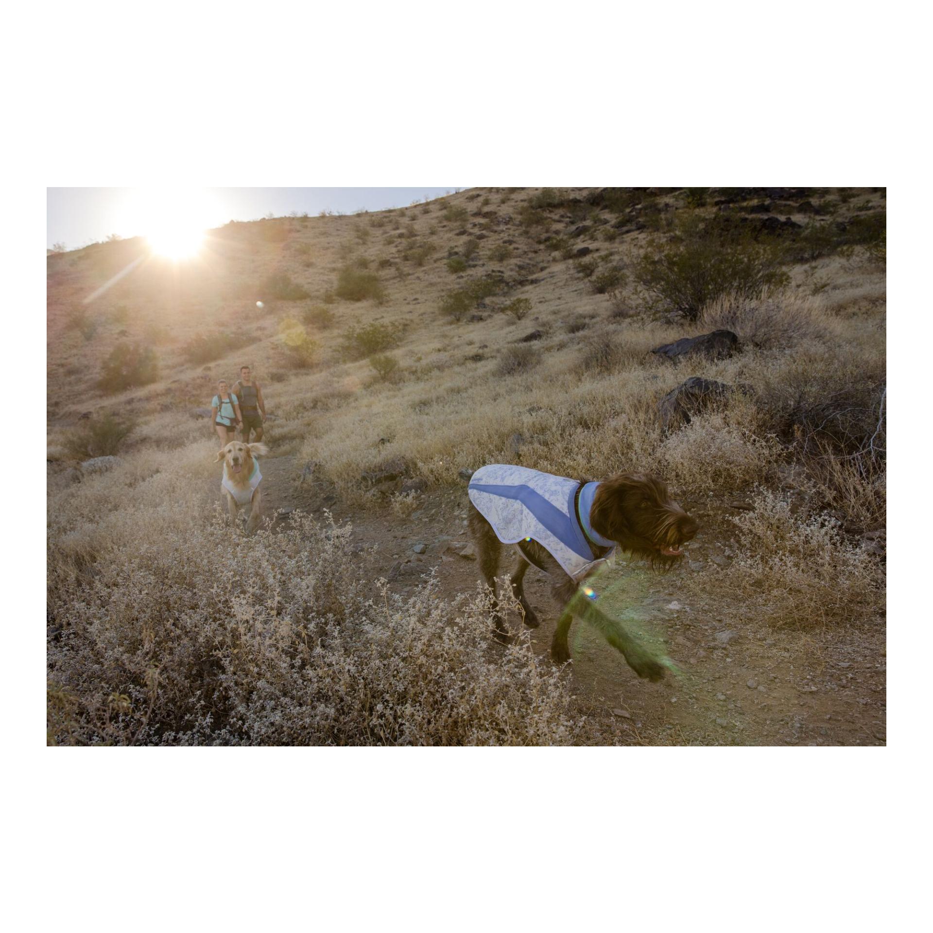 Swamp Cooler™ Weste