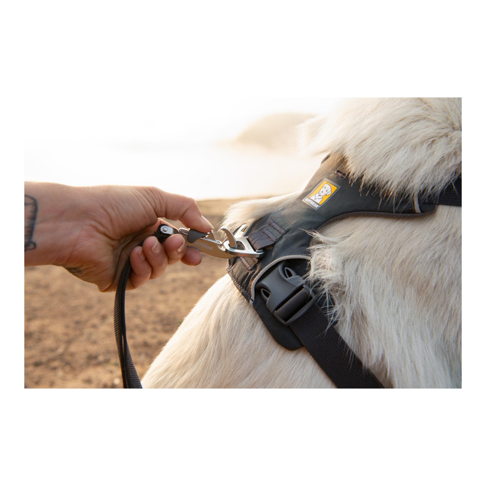 Front Range® harnais pour chien 