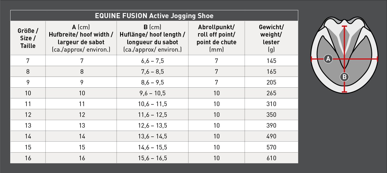 Equine Fusion Active Jogging Shoe Regular