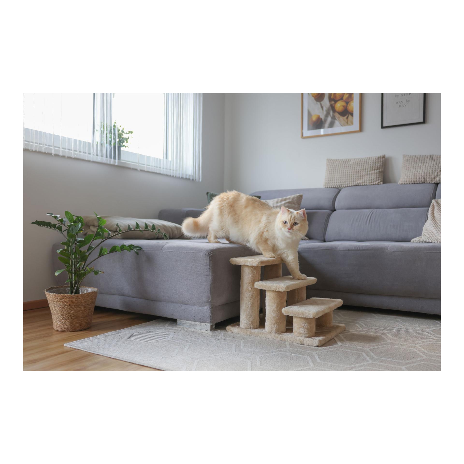 Tiertreppe Easy Climb 2.0