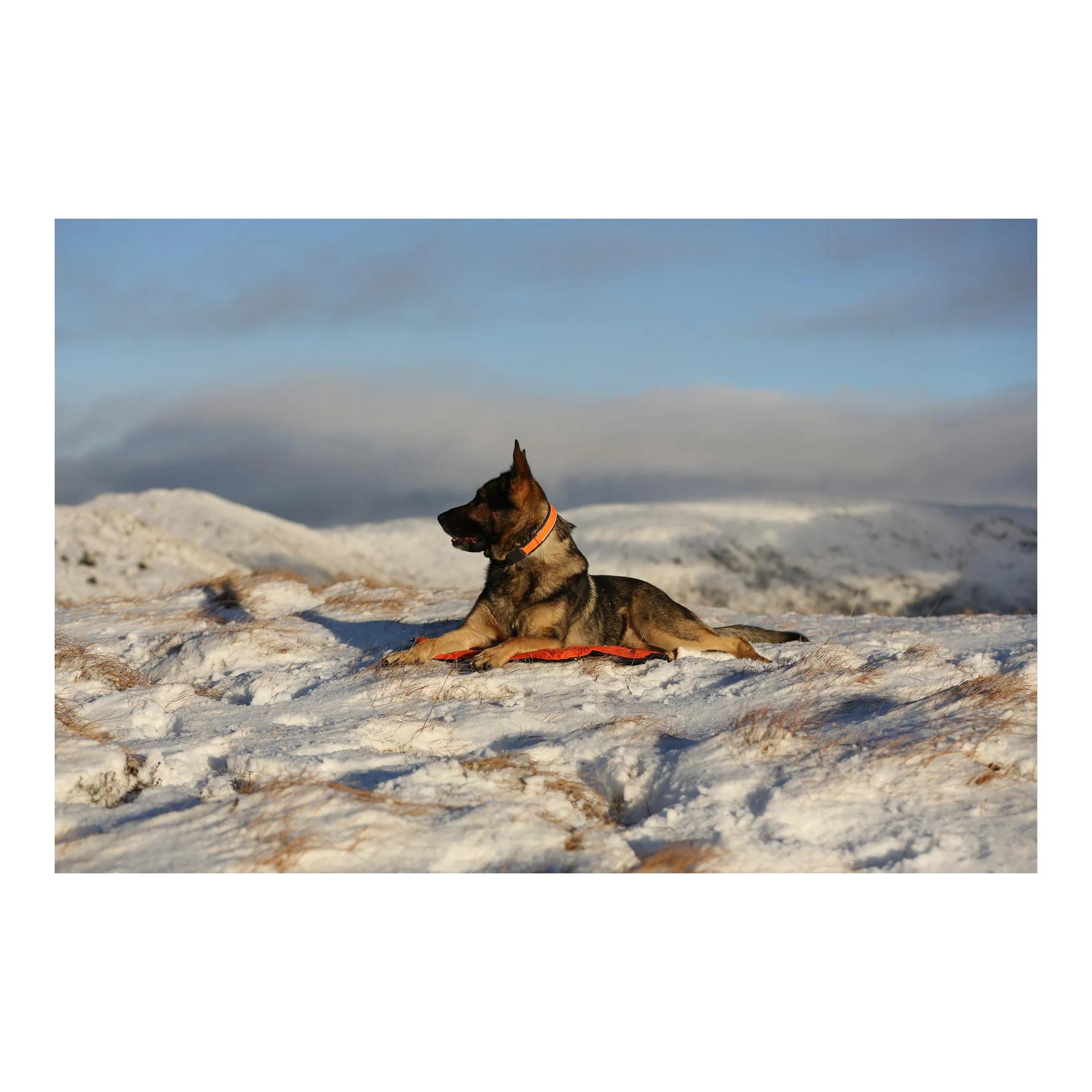 Hundebett Protector Bivvy