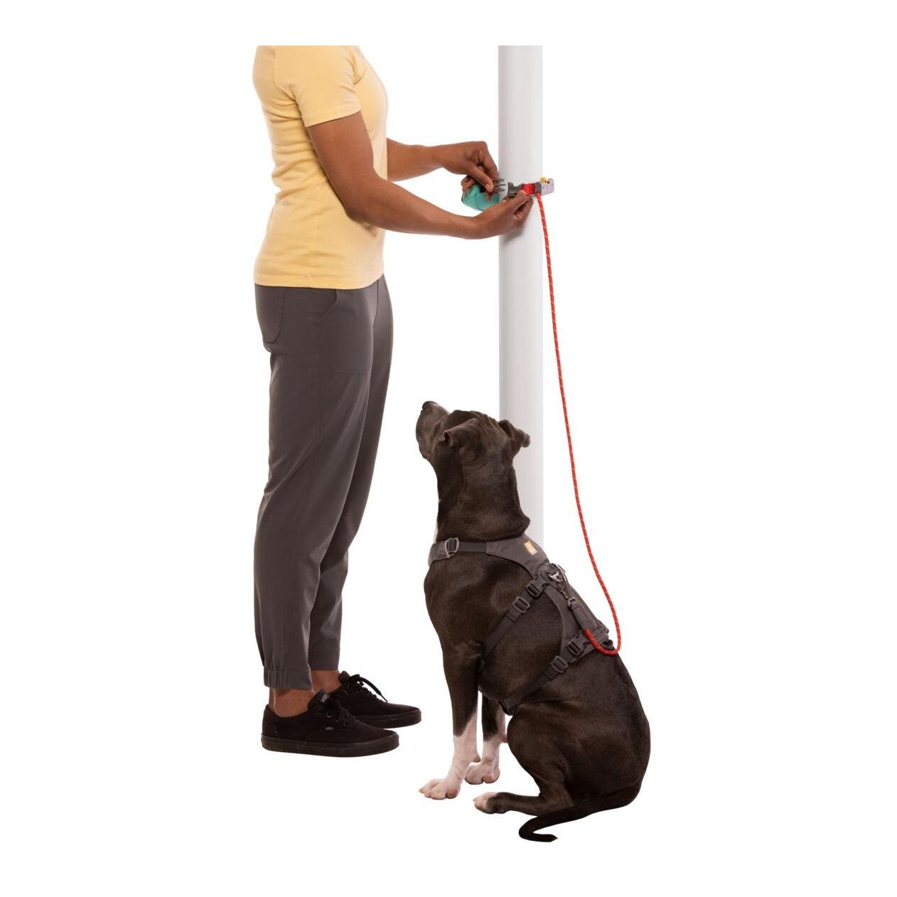 Hitch Hiker™ Leine