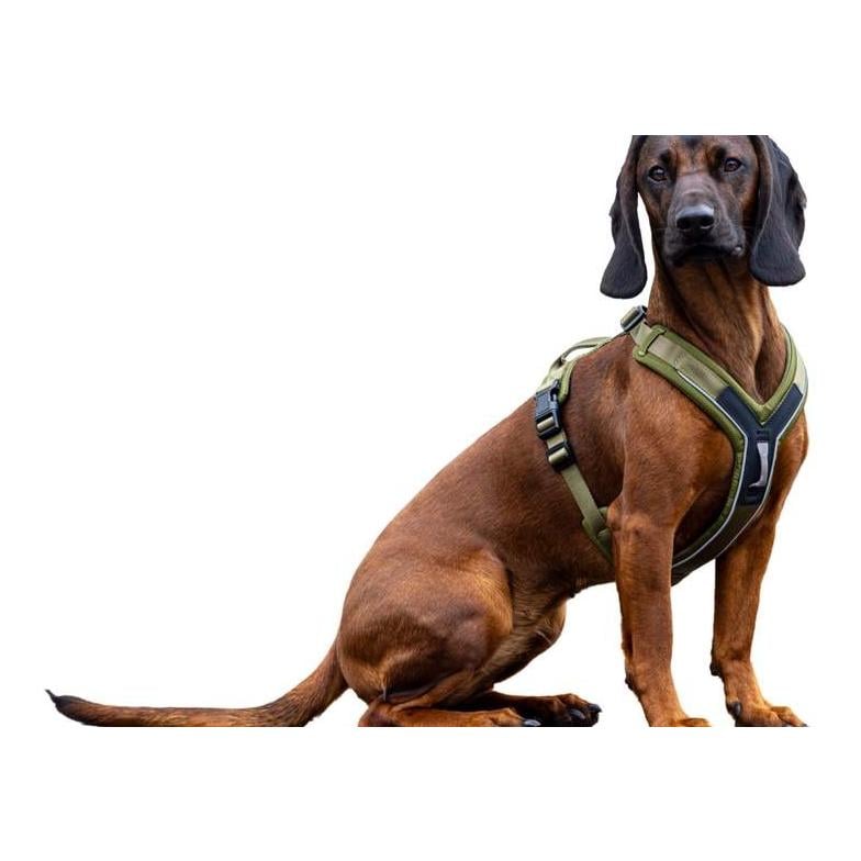 Kerbl Pet Hundegeschirr Dallas