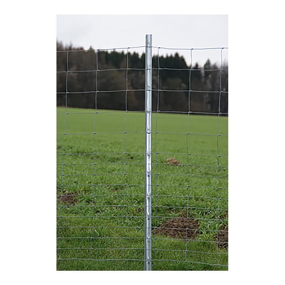 Z-Profil-Stahlpfahl Z-Profil-Stahlpfahl