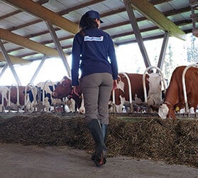 Hauptner-KAT-Hof_Stall