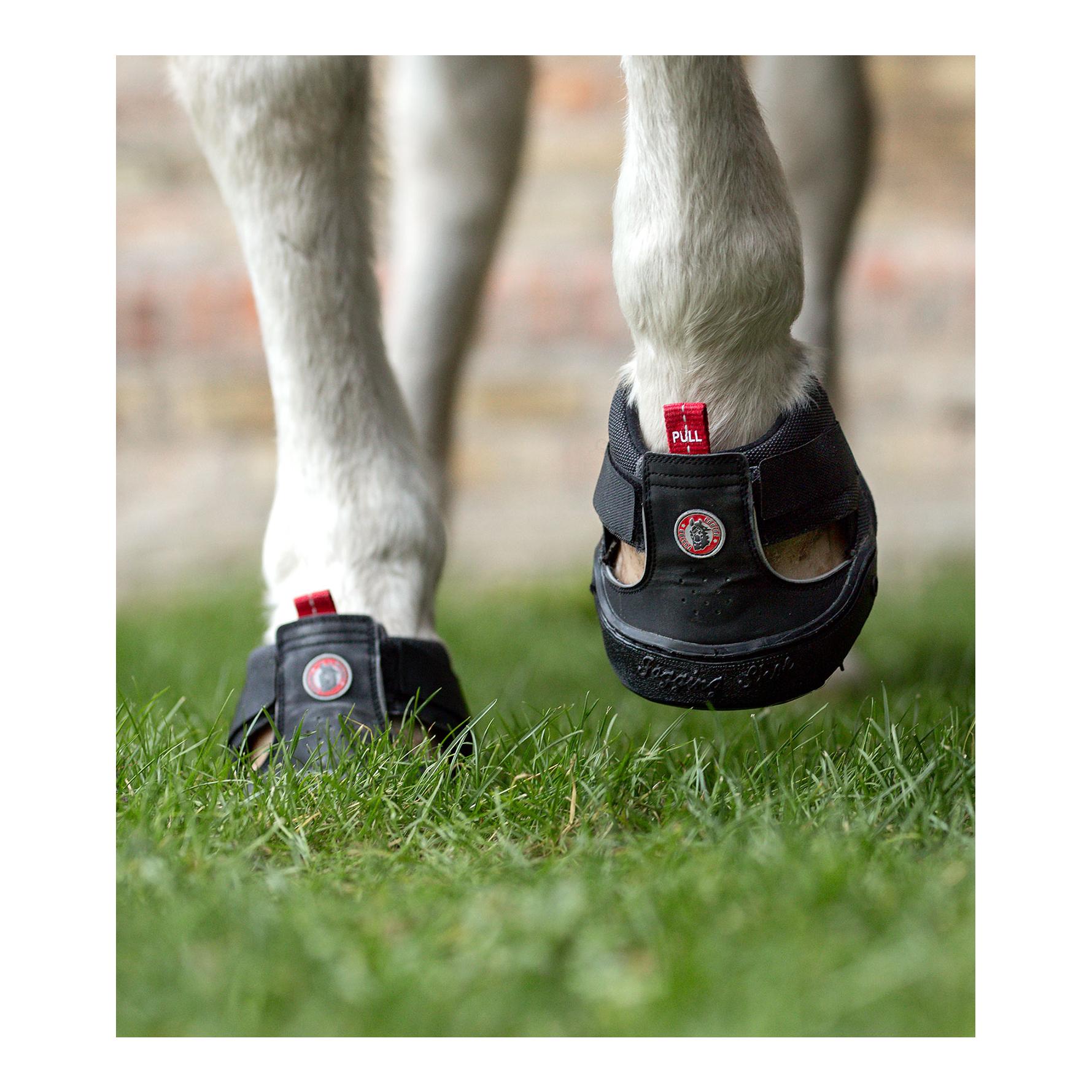 Equine FusionTrekking Shoe Slim