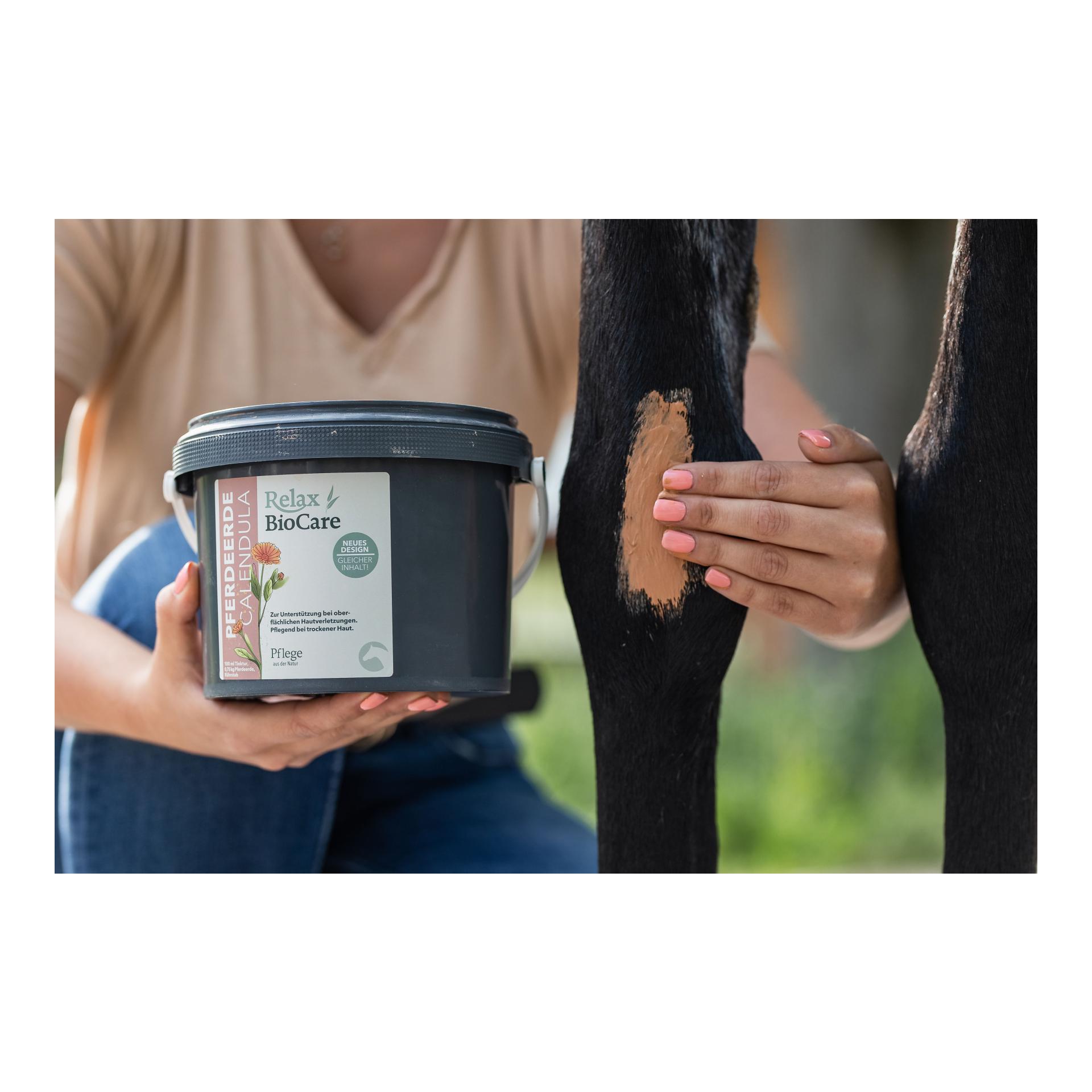 Pferdeerde Calendula